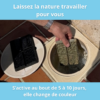mise en place de la tablette clean water tab Novpool dans skimmer piscine