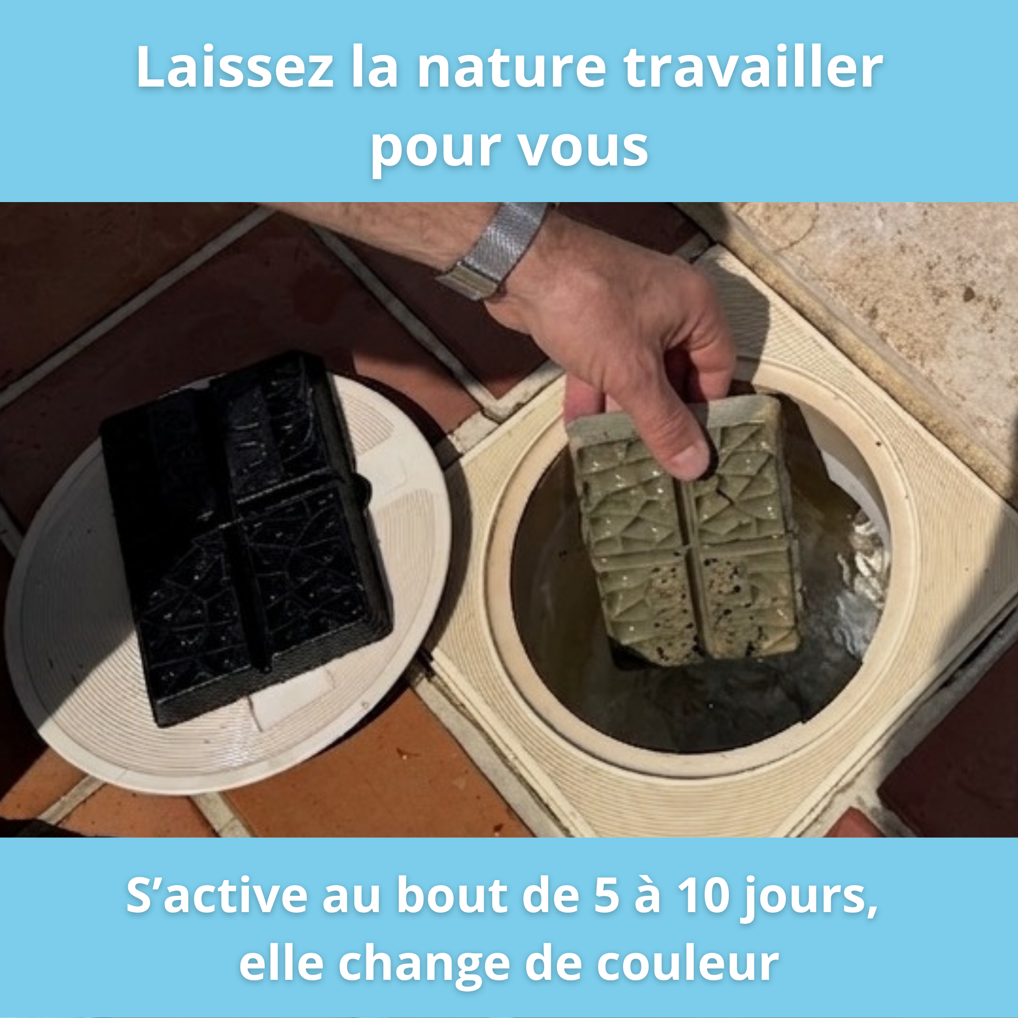 mise en place de la tablette clean water tab Novpool dans skimmer piscine
